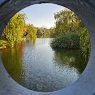 „Lucrul căruia îi reziști, persistă.”

Cu cât te opui mai mult unui gând, unei emoții sau unei situații, cu atât pare să prindă rădăcini mai adânci în tine. Poate că uneori cheia nu este să lupți împotriva a ceea ce te frământă, ci să-l privești în față, să-l accepți și să-i dai voie să treacă prin tine, nu să te definească.

Ce-ar fi dacă, în loc să te împotrivești, ai încerca să înțelegi? Să-ți oferi spațiu să simți, să procesezi și să mergi mai departe? 💫

#marinascrie #zambetuldinfatadepresiei #carte #autorindependent #autocunoaștere
#vindecare #acceptare #introspecție #creșterepersonală #evoluție #mindset #gândurideviață #schimbare #lecțiideviață #energiepozitivă #innerpeace #selfgrowth
#mentalhealth #emotionalequilibrium